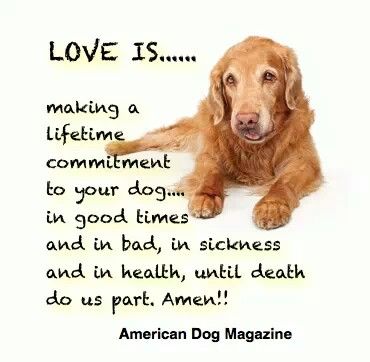 Love is a commitment