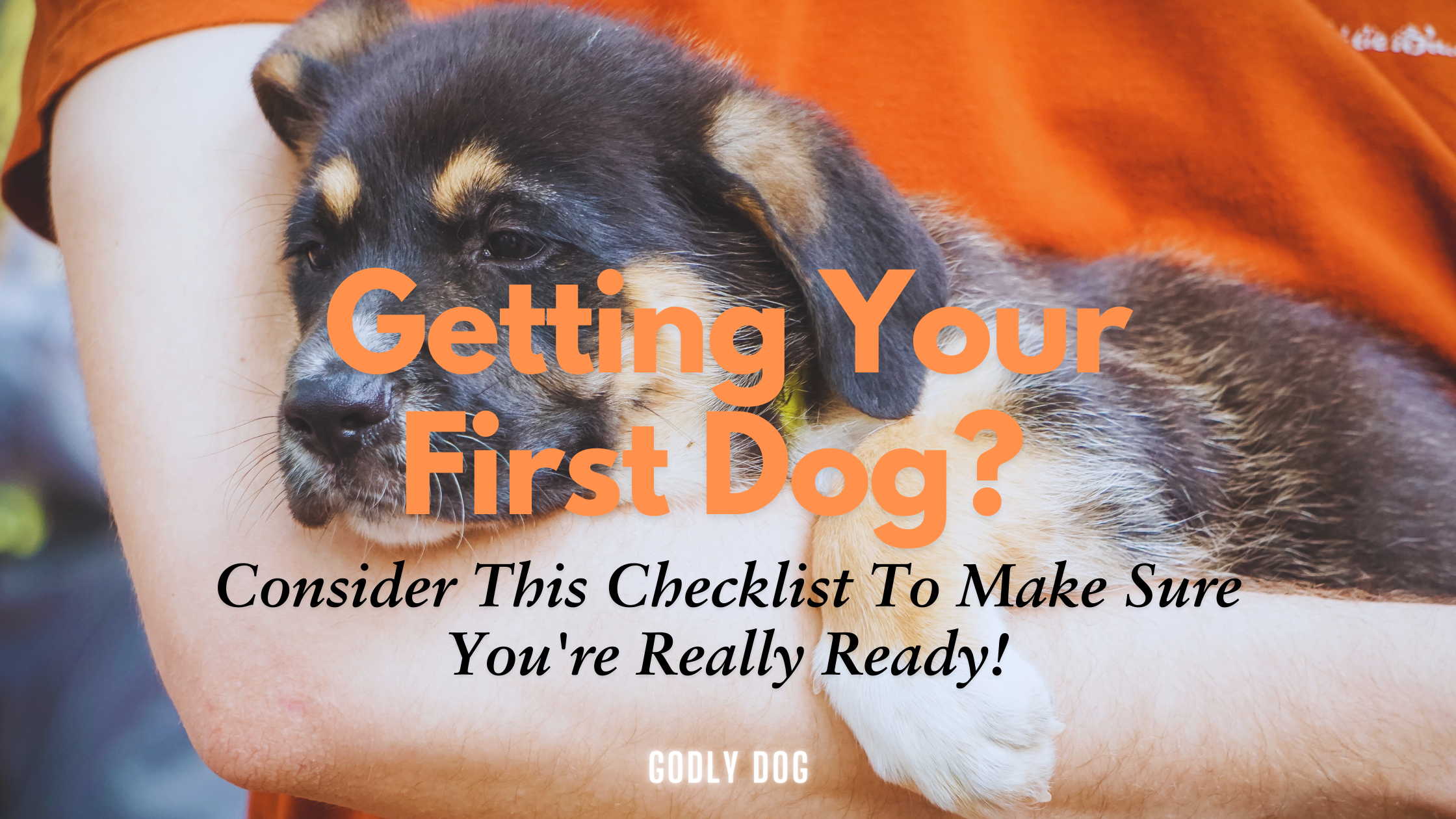 First Dog Checklist Blog Cover Image by GodlyDog