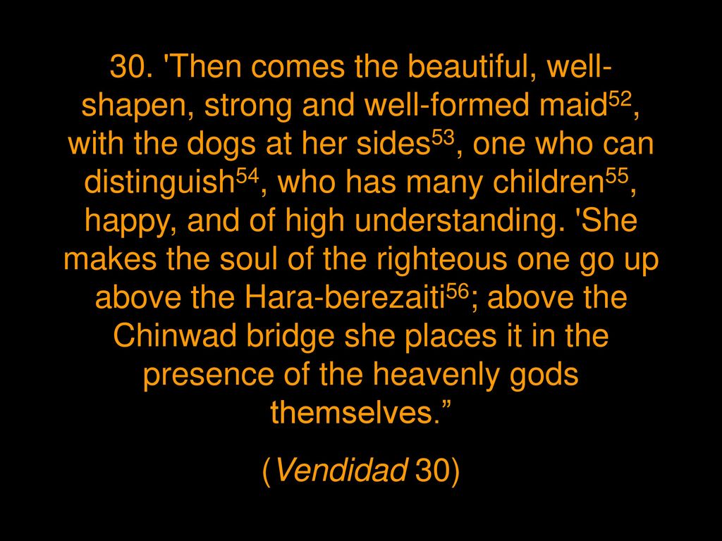 Quotes from the Vendidad- the Zoroastrian holy book, suggesting the treatment of dogs in Zoroastrianism.