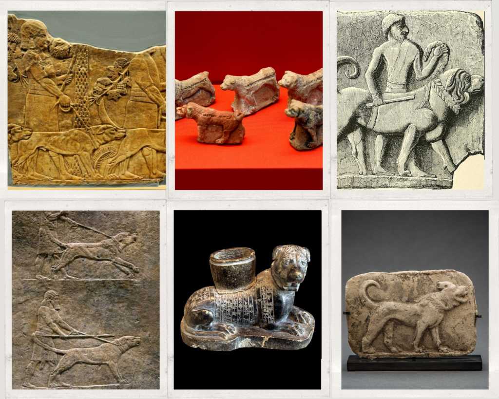 a few of the excavated dog sculptures in Mesopotamia