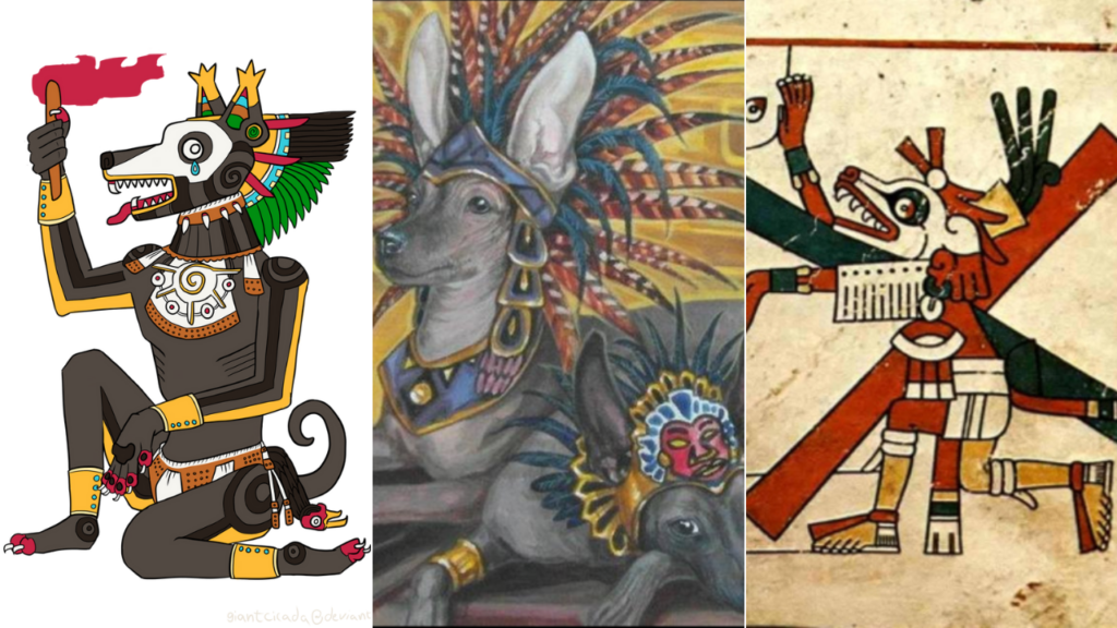 Dogs in Aztec religion, portrayed by Xolotl- the dog god of fire, lightning and death.