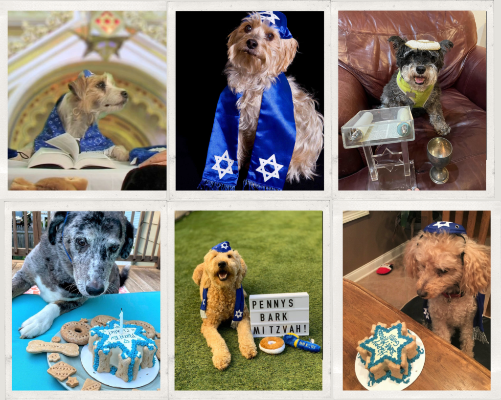 The reverence of dogs in Judaism represented by a collage of Bark Mitzvah celebrations with decked up pups, cakes and gifts.