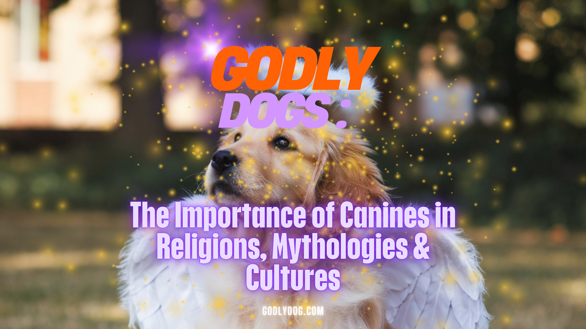 Dog in Religion blog by Godlydog Cover