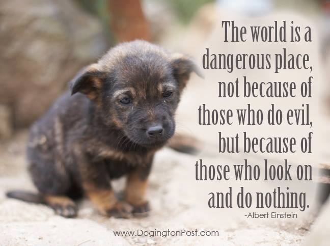 Einstein quotes