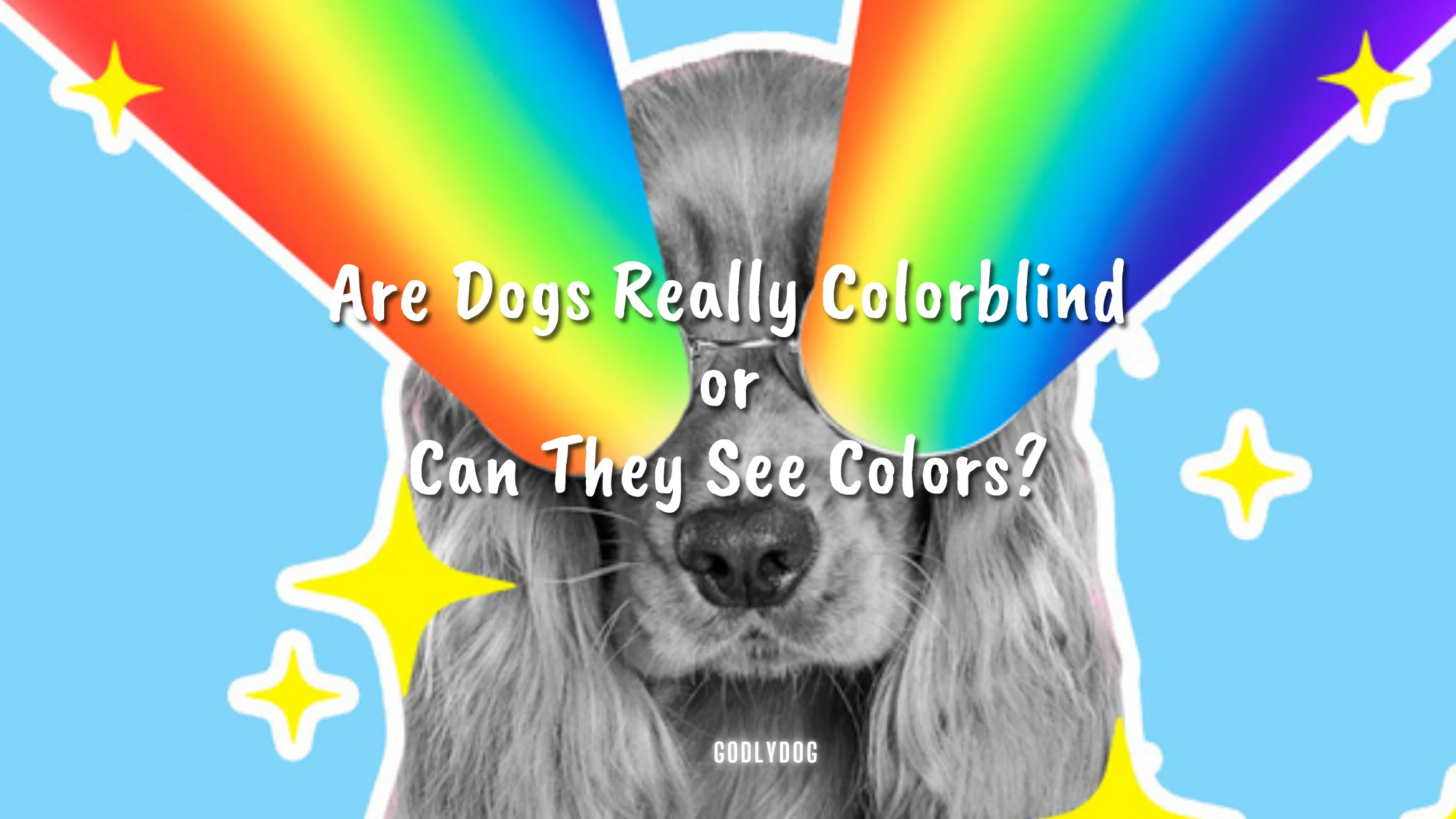 Can Dogs See Colors blog cover by GodlyDog