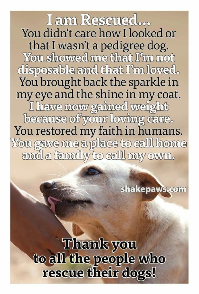 A thank you note from a rescued pup!