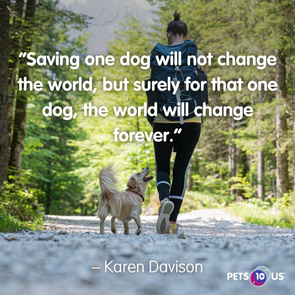Buying vs adopting a dog: Saving a dog may not change the whole world, but for that one dog, the whole world changes!