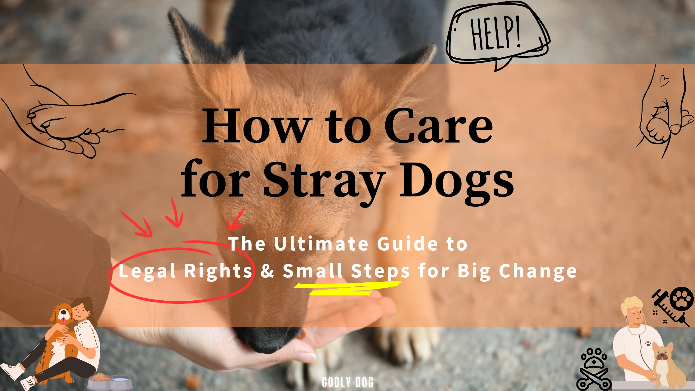 How to Care for Stray Dogs_GodlyDog Blog cover