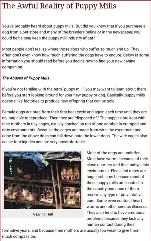 Buying vs adopting a dog: The soul shattering reality behind puppy mills!
