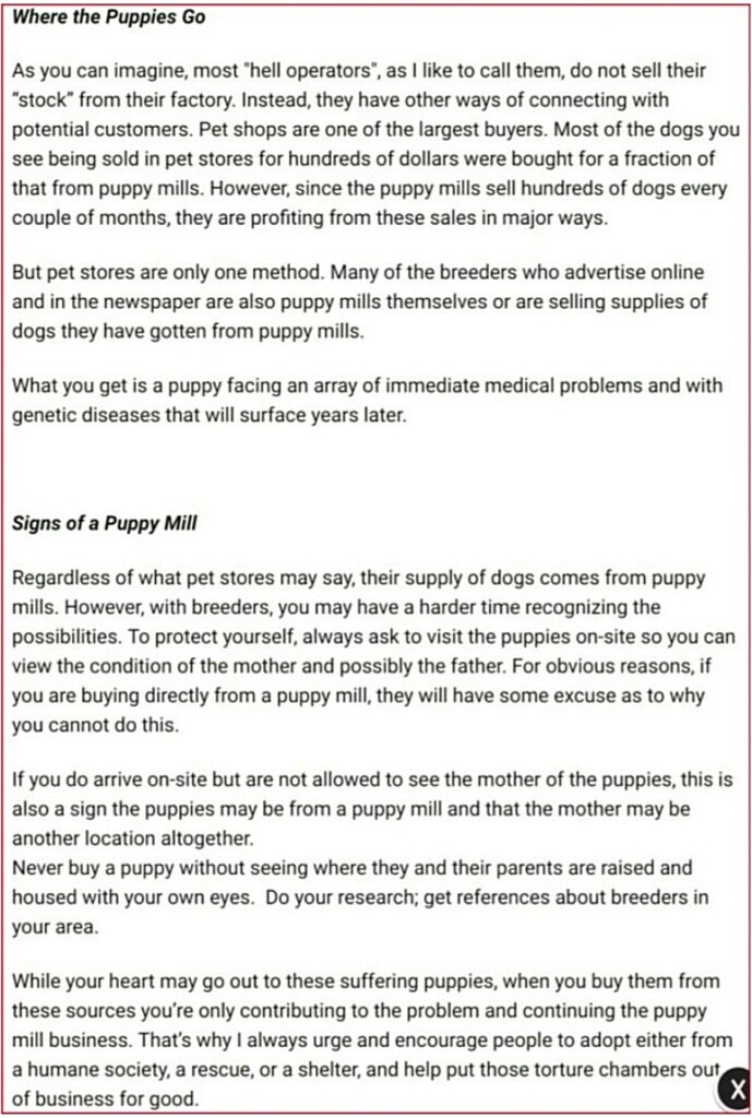 Buying vs adopting a dog: The soul shattering reality behind puppy mills!