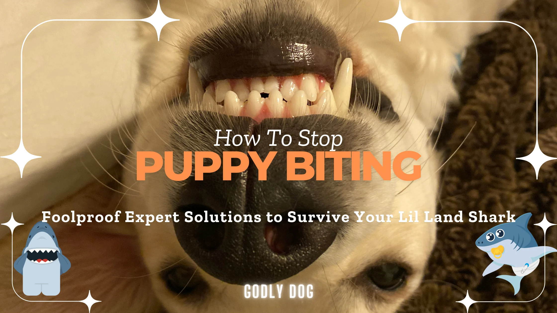 How to stop puppy biting blog cover by GodlyDog