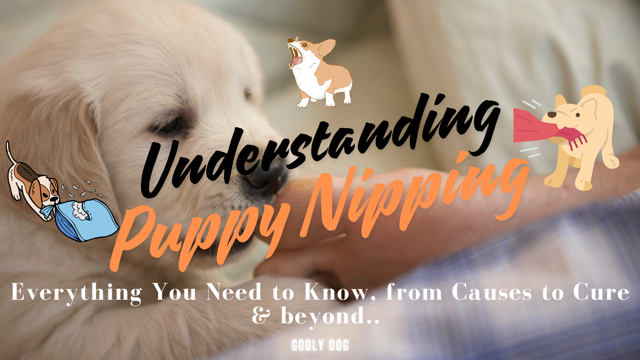 Understanding Puppy Nipping blog cover