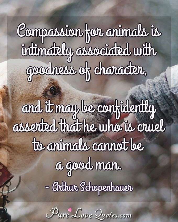 Schopenhauer dog quotes