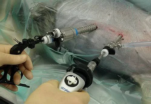 Laparoscopic Dog Neutering
