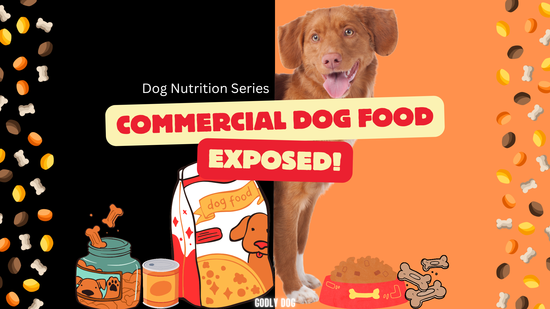 Commercial dog food truth blog cover by GodlyDog