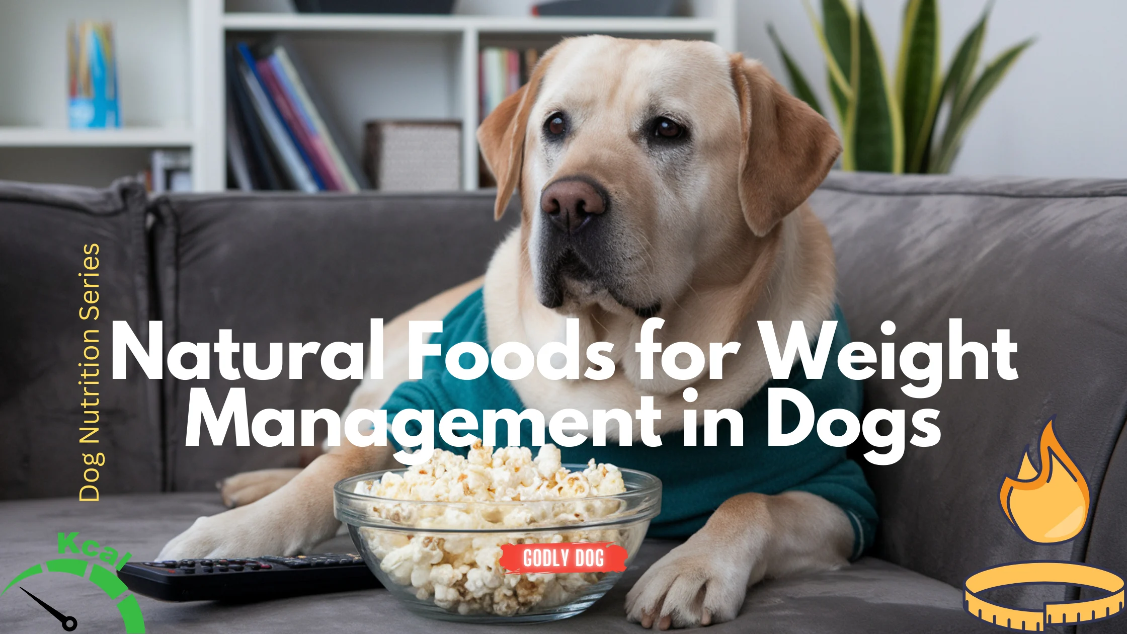 Natural Foods for Weight Management in Dogs blog cover by GodlyDog