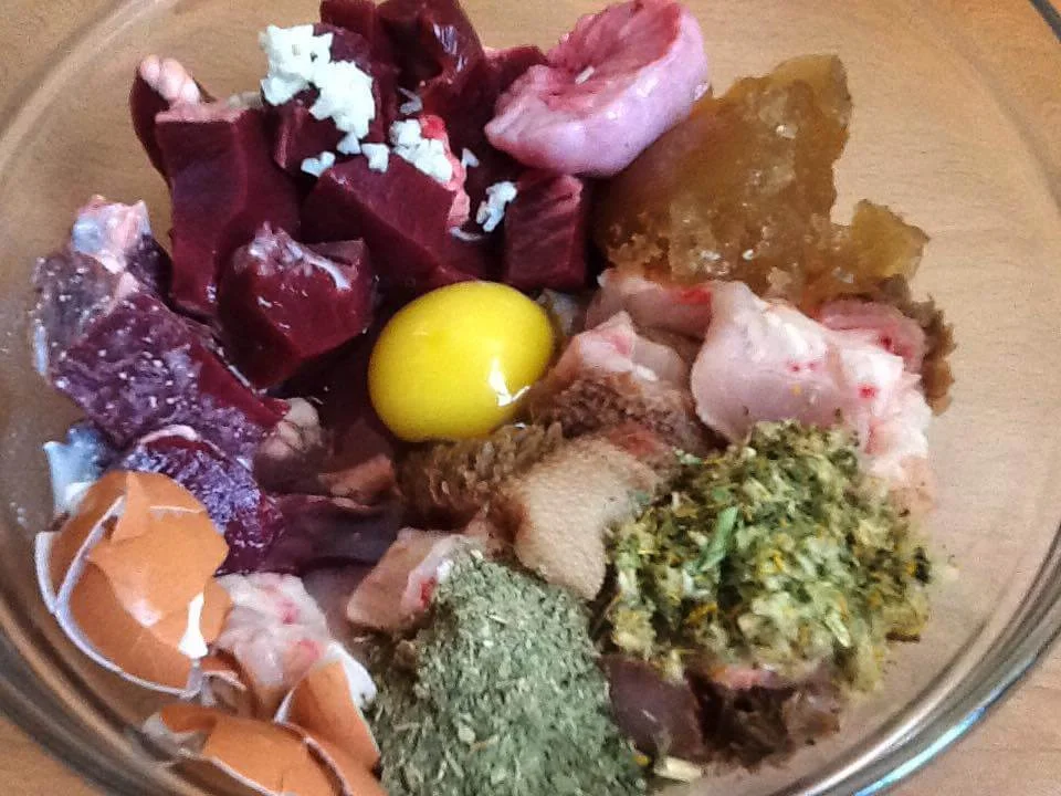raw feeding for dogs served in a bowl