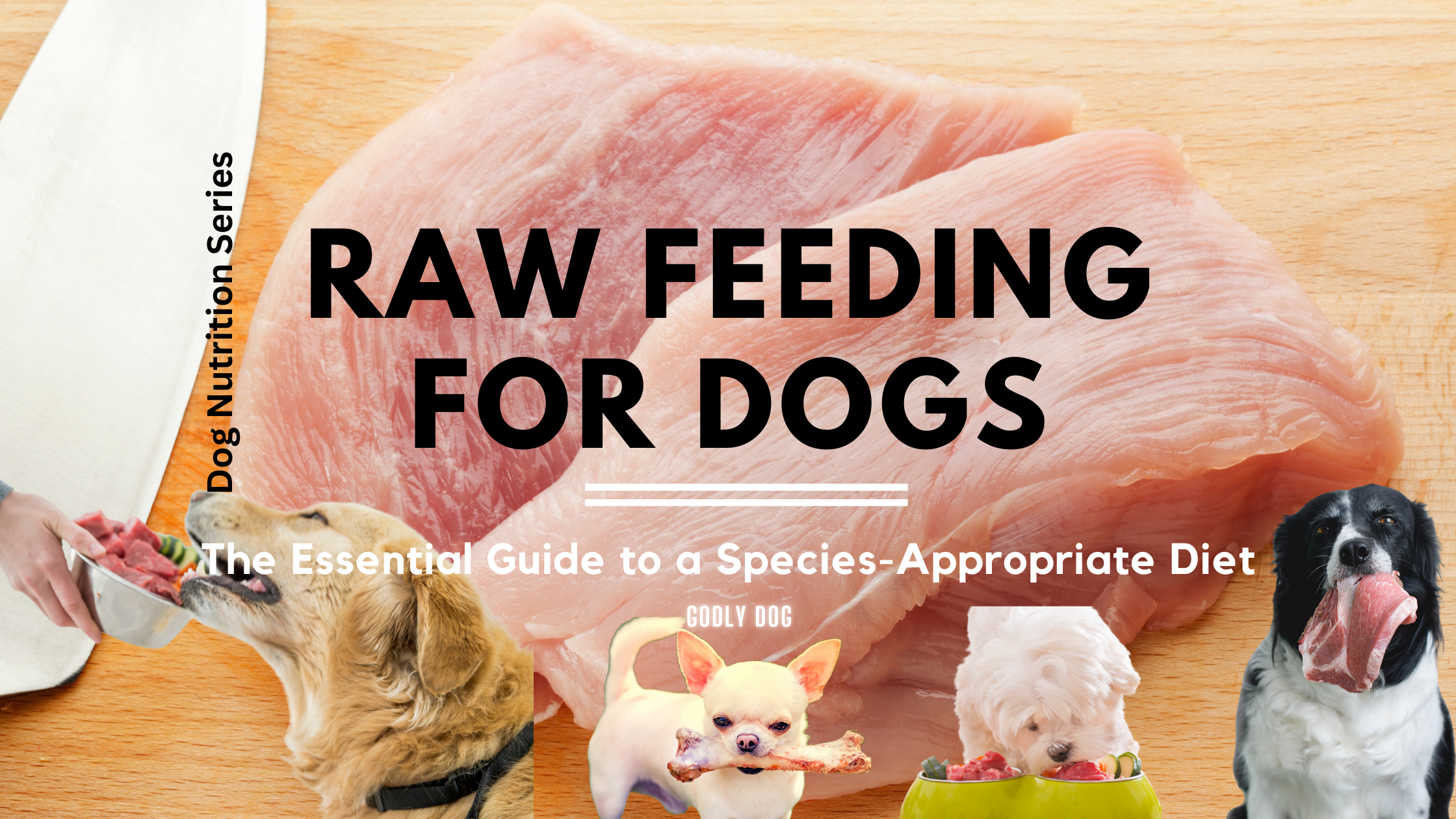 Raw Feeding for Dogs blog cover by GodlyDog