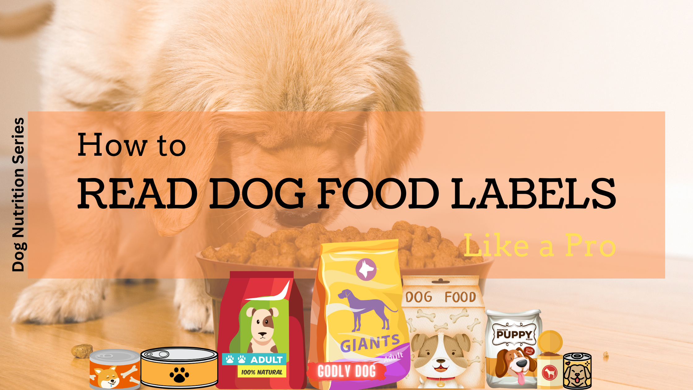 How to read dog food labels blog cover by GodlyDog