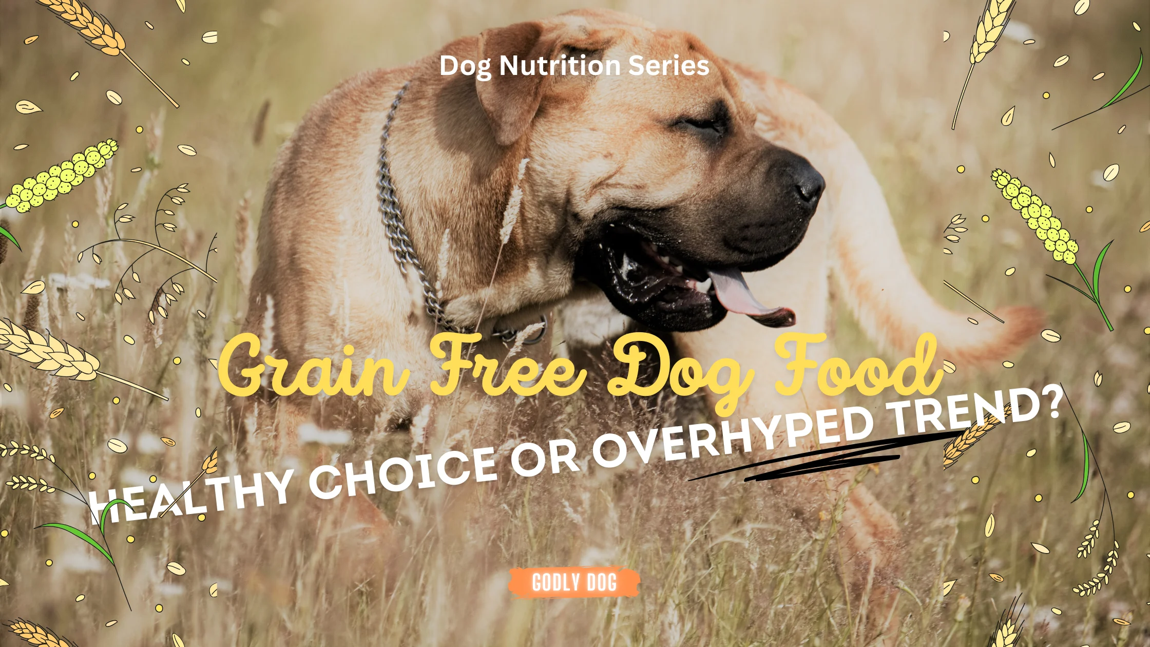 Grain free dog food blog cover by GodlyDog