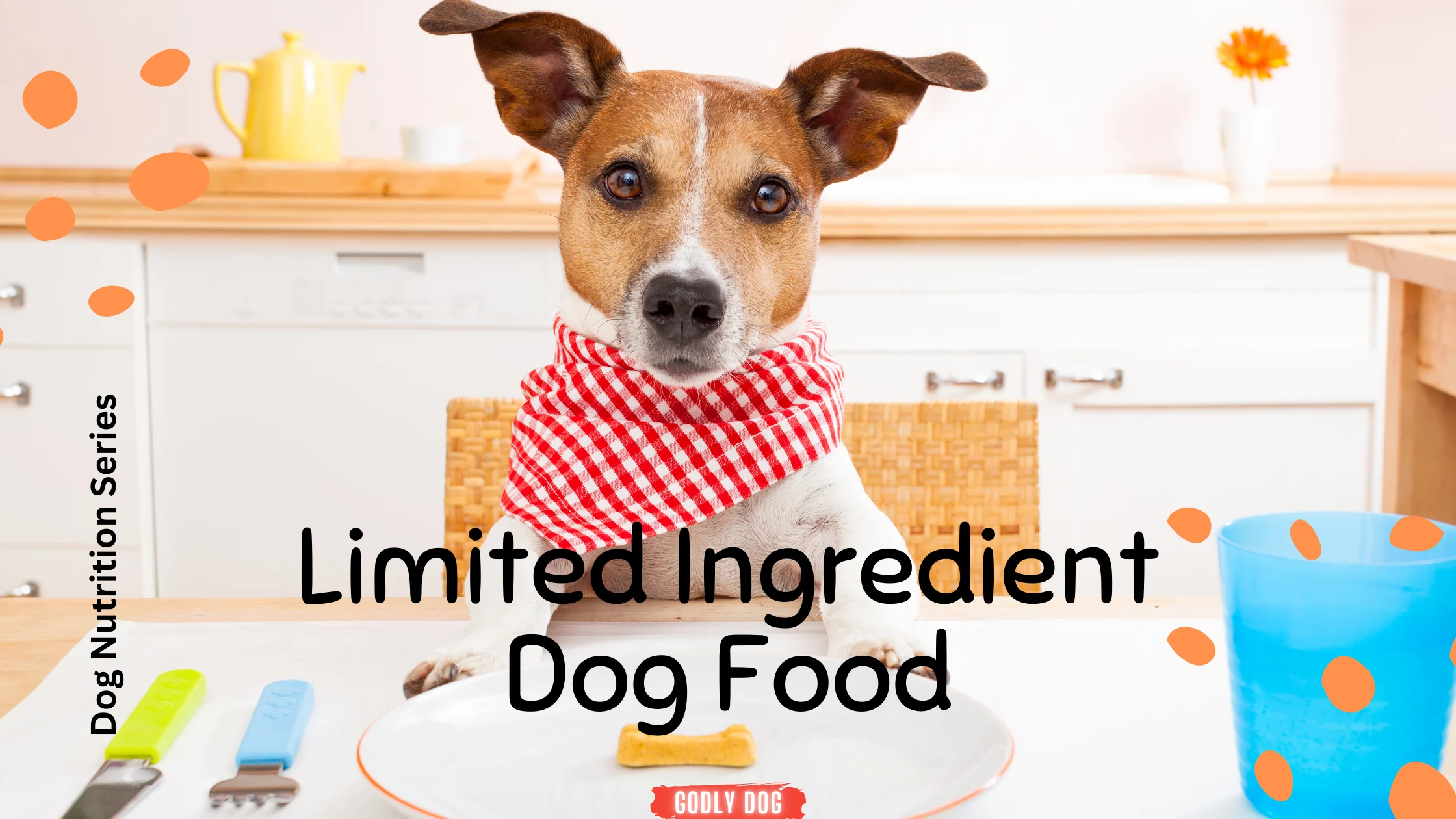 Limited Ingredient Dog Food blog cover by GodlyDog