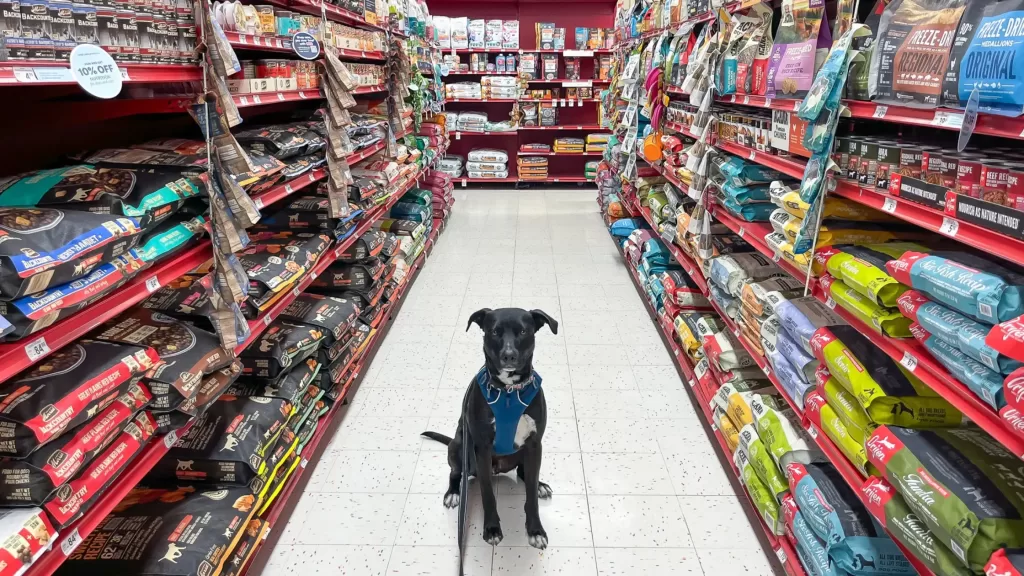 Dog and parent out shopping for dog food