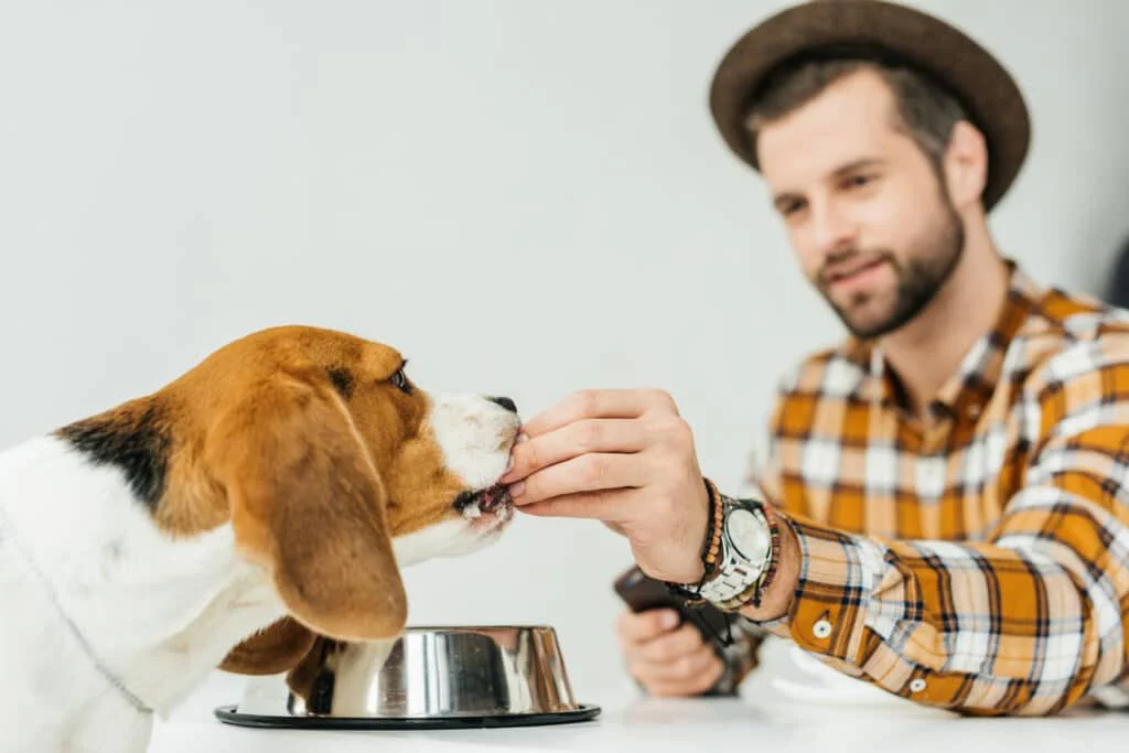 Man feeding hydrolyzed protein dog food to his allergic dog