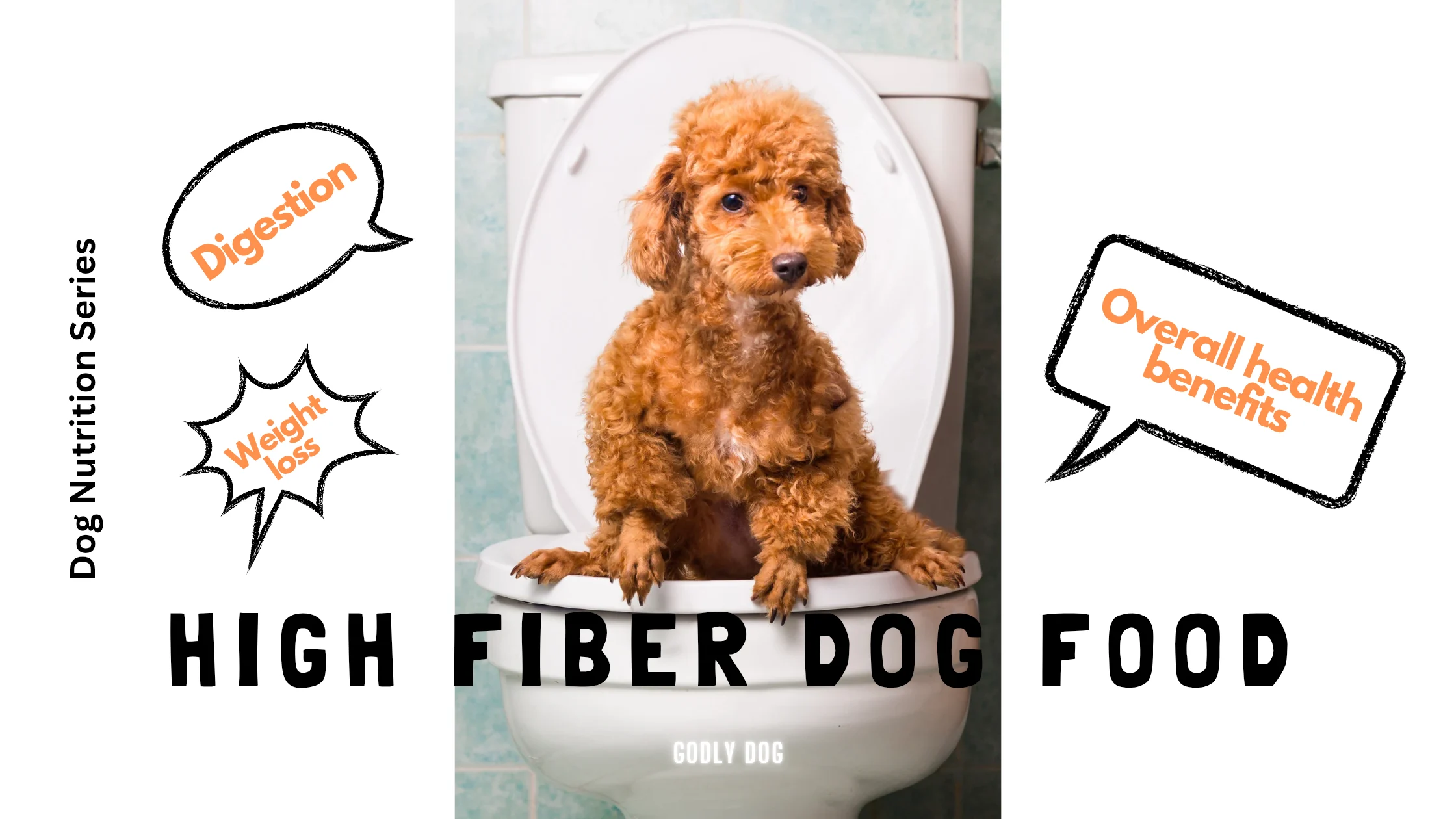 High fiber dog food blog cover by GodlyDog