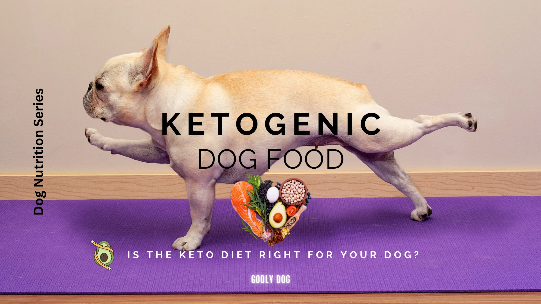 Ketogenic dog food blog cover by GodlyDog