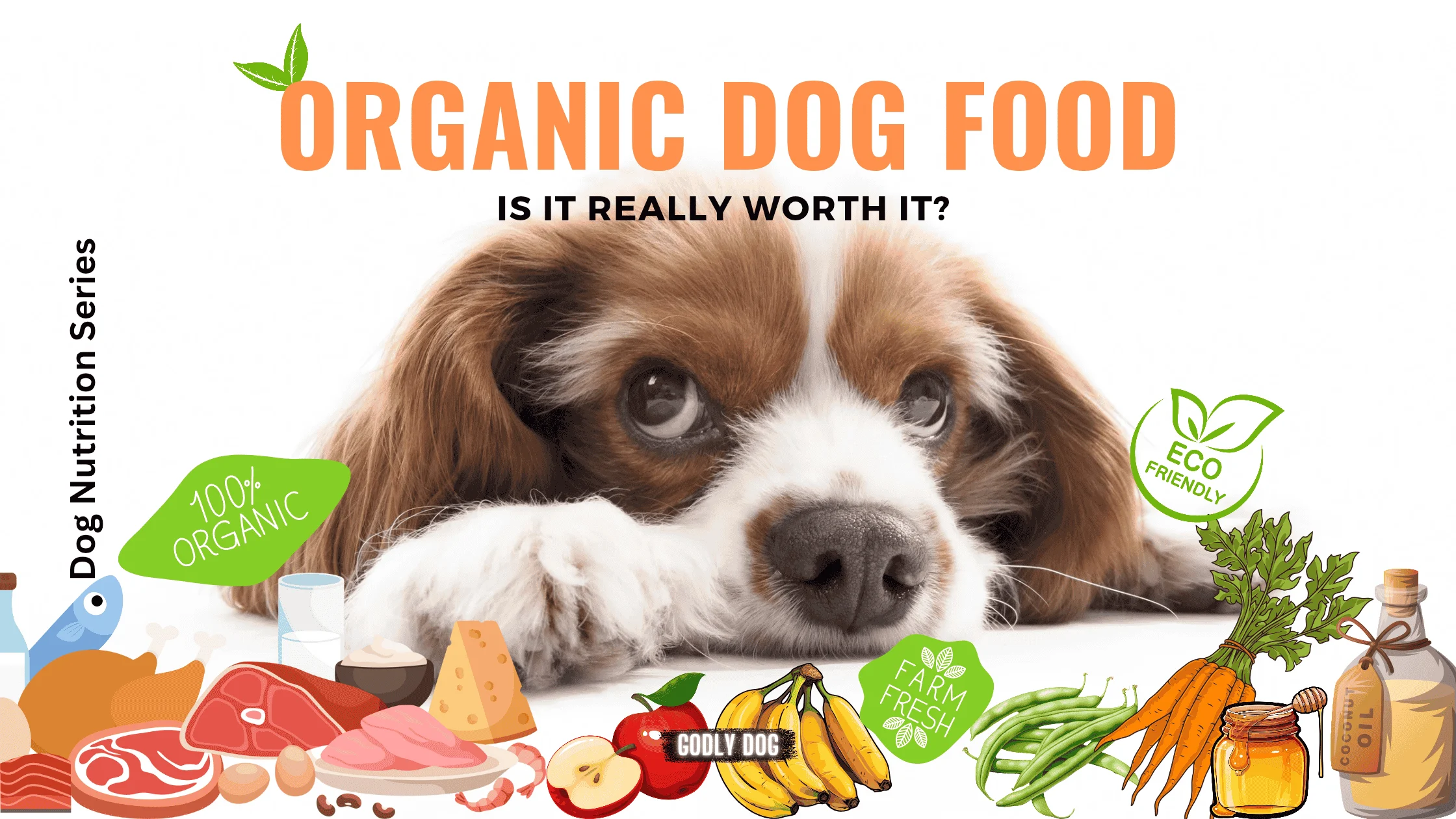 Organic dog food blog cover by GodlyDog