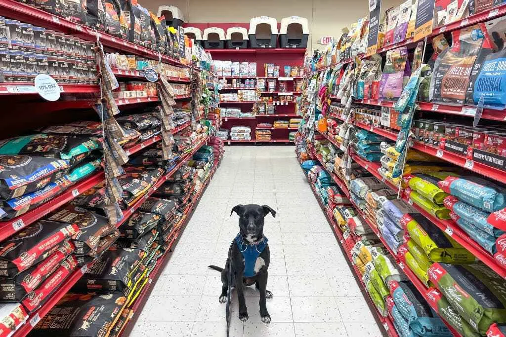 Dog food brands at a dog store