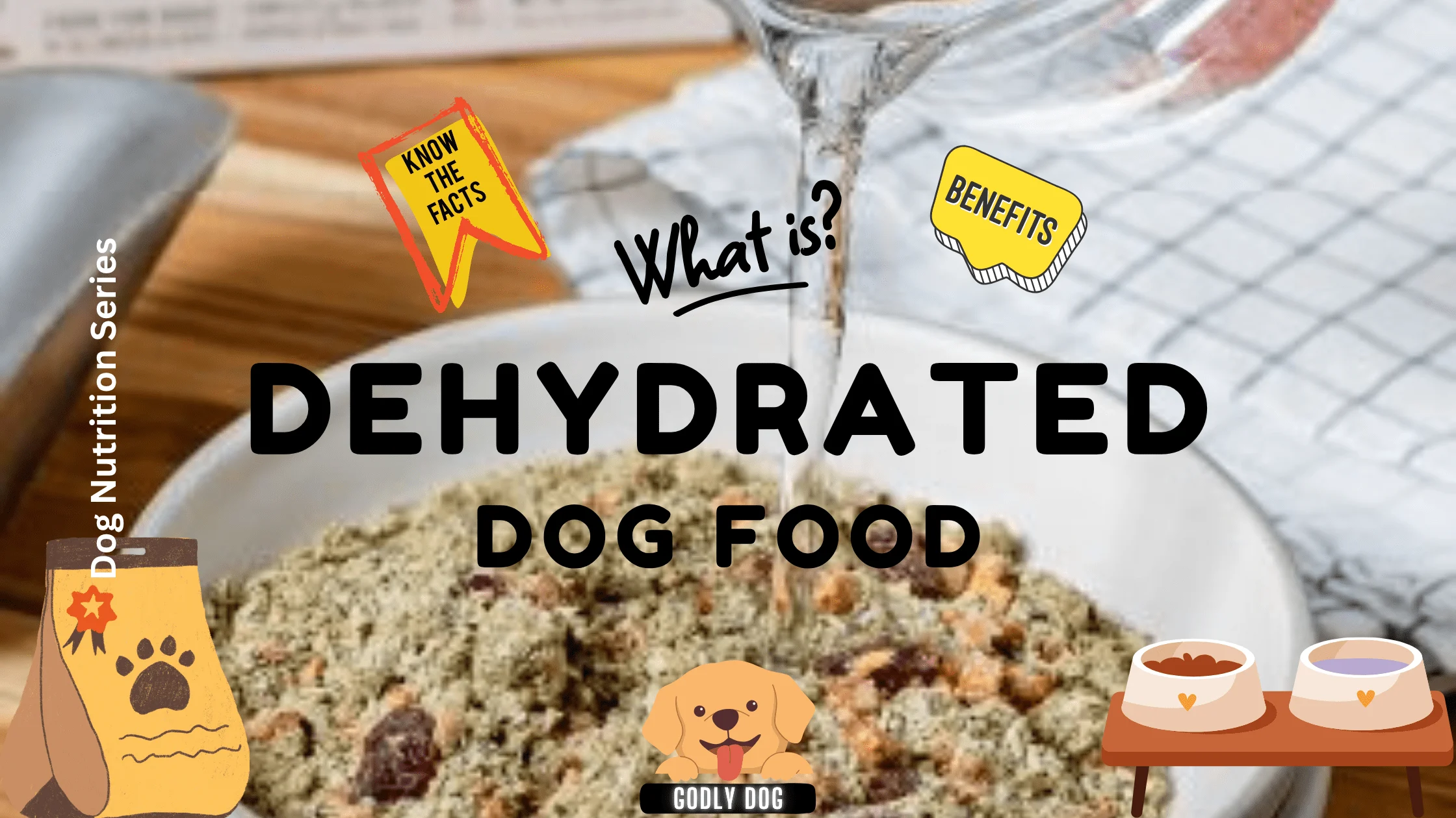 Dehydrated dog food blog cover by GodlyDog